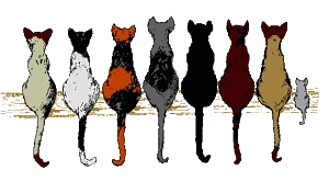cat2