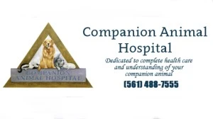 companion-vet2